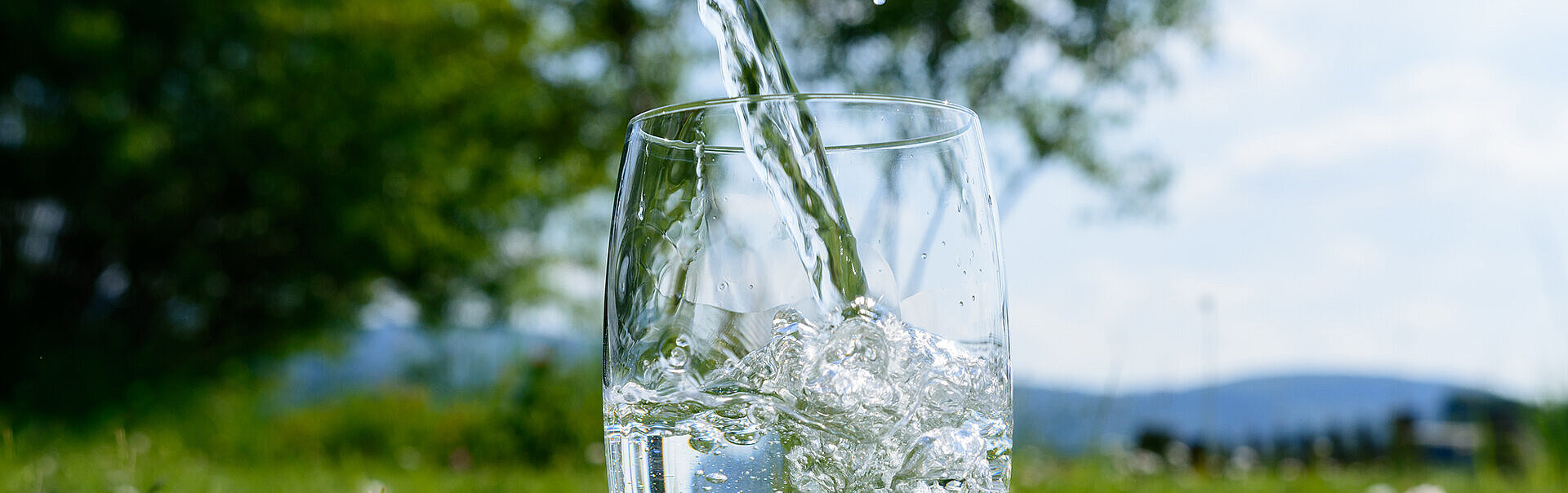 Bild: Wasser in einem Glas
