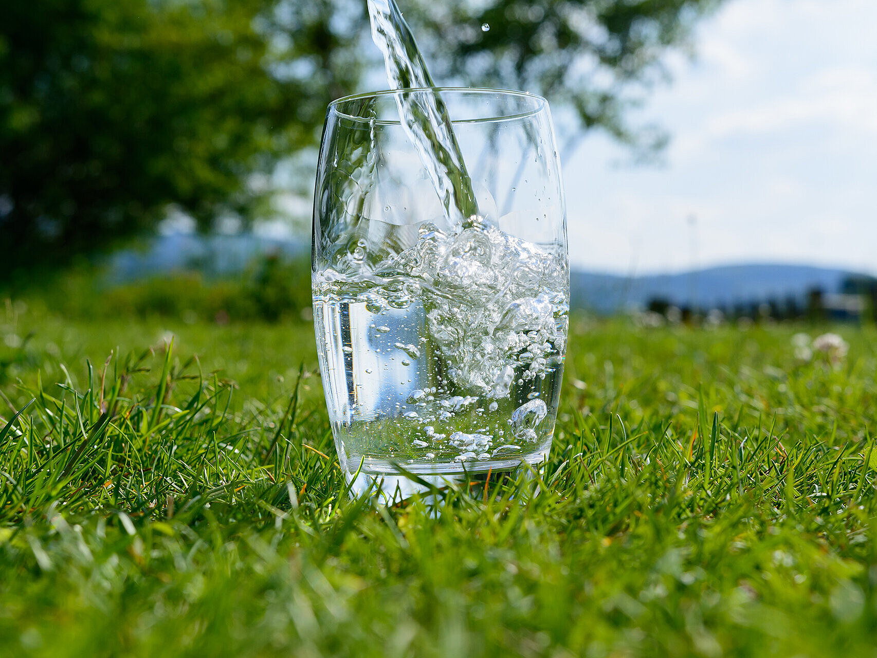 Bild: Wasser in einem Glas