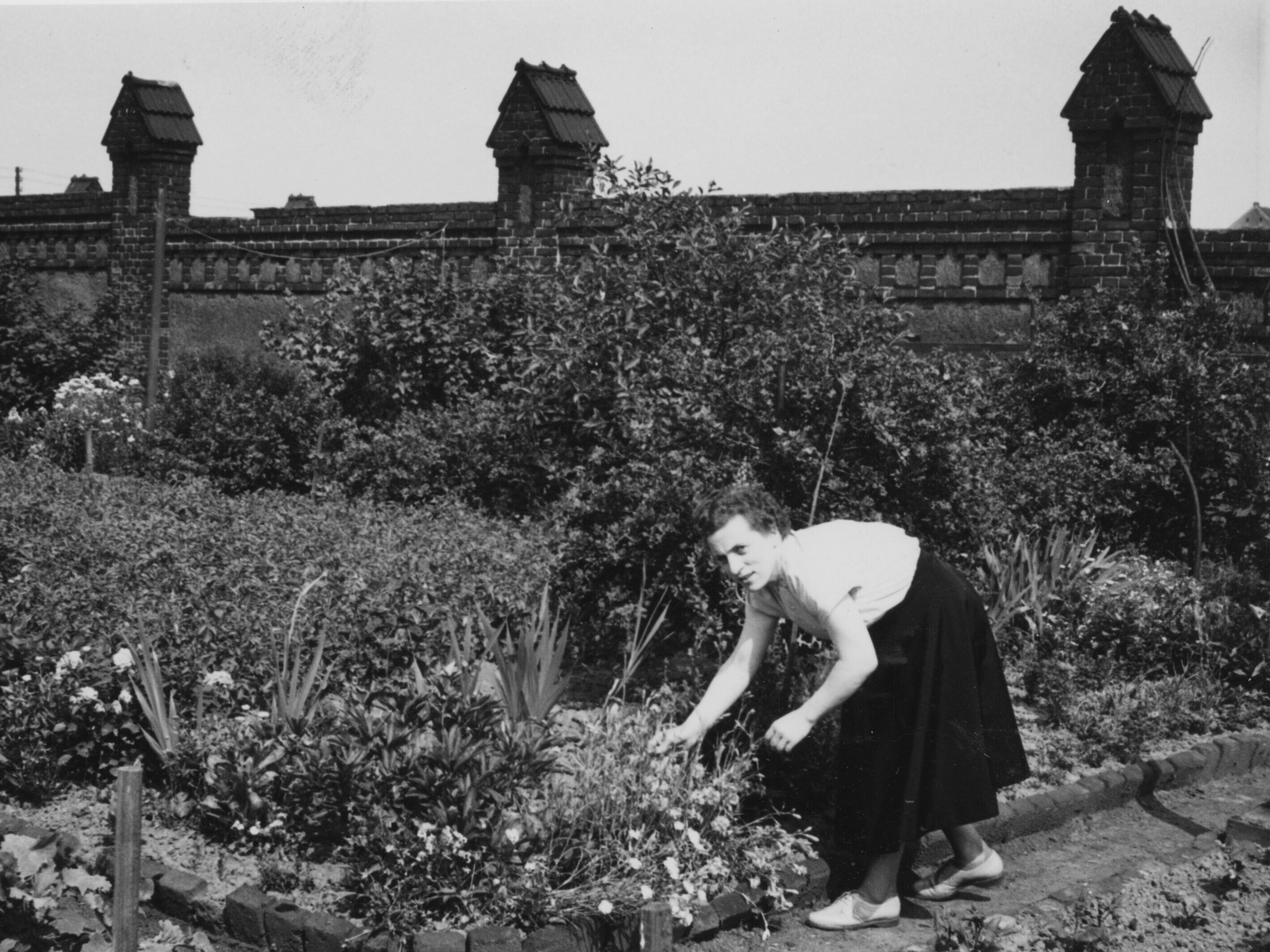Frau im Garten beim Unkraut zupfen
