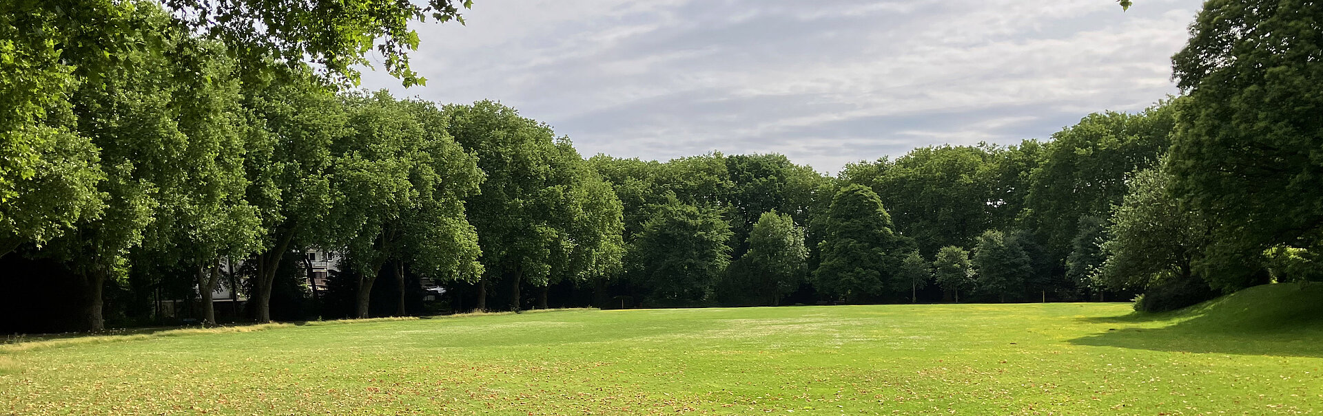 Abbildung des Ruhrparks. Zu sehne ist eine grüne Fläche mit Bäumen und einem bewölkten Himmel
