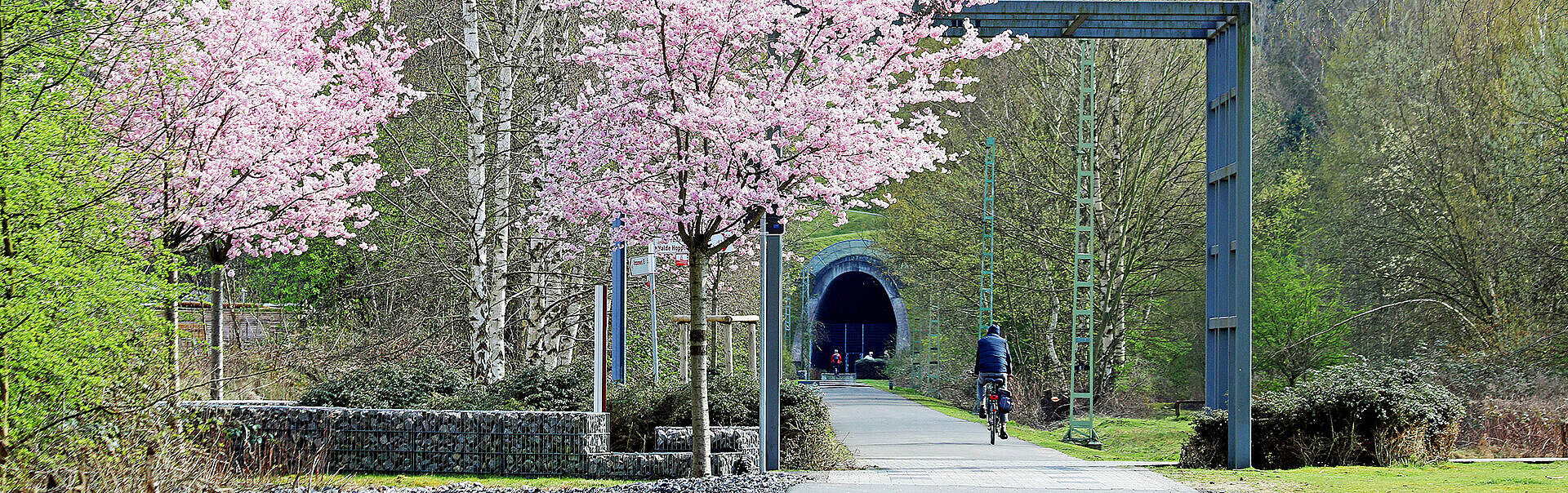 Der Rad- und Fußweg Allee des Wandels für ein vernetztes und bürgernahes Europa