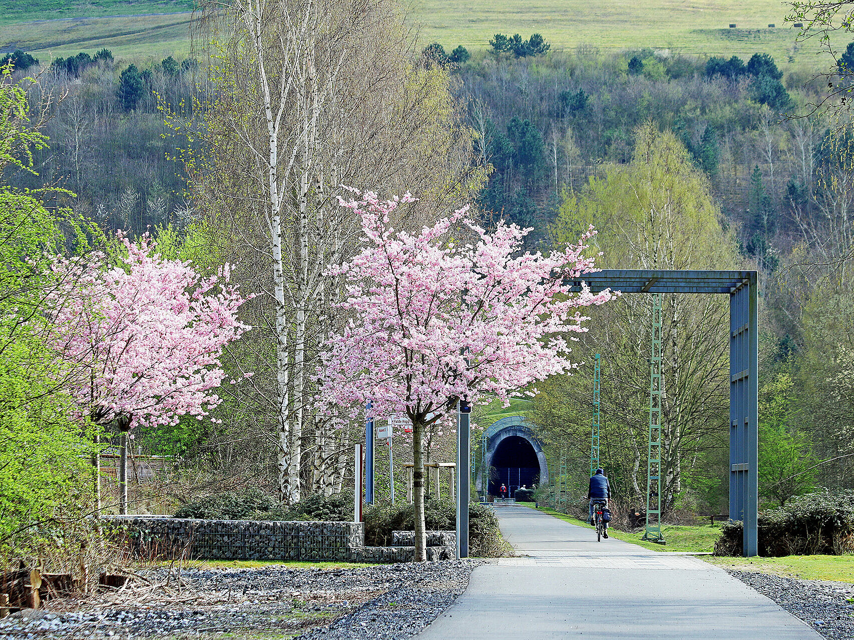 Der Rad- und Fußweg Allee des Wandels für ein vernetztes und bürgernahes Europa