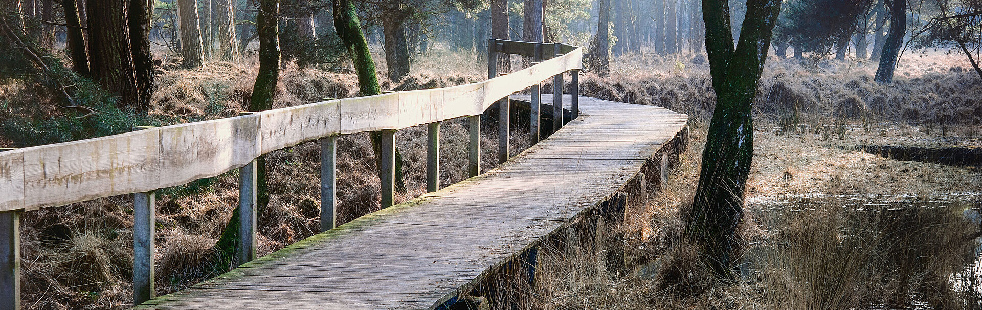 Bild:Fernwanderweg Hohe Mark Steig