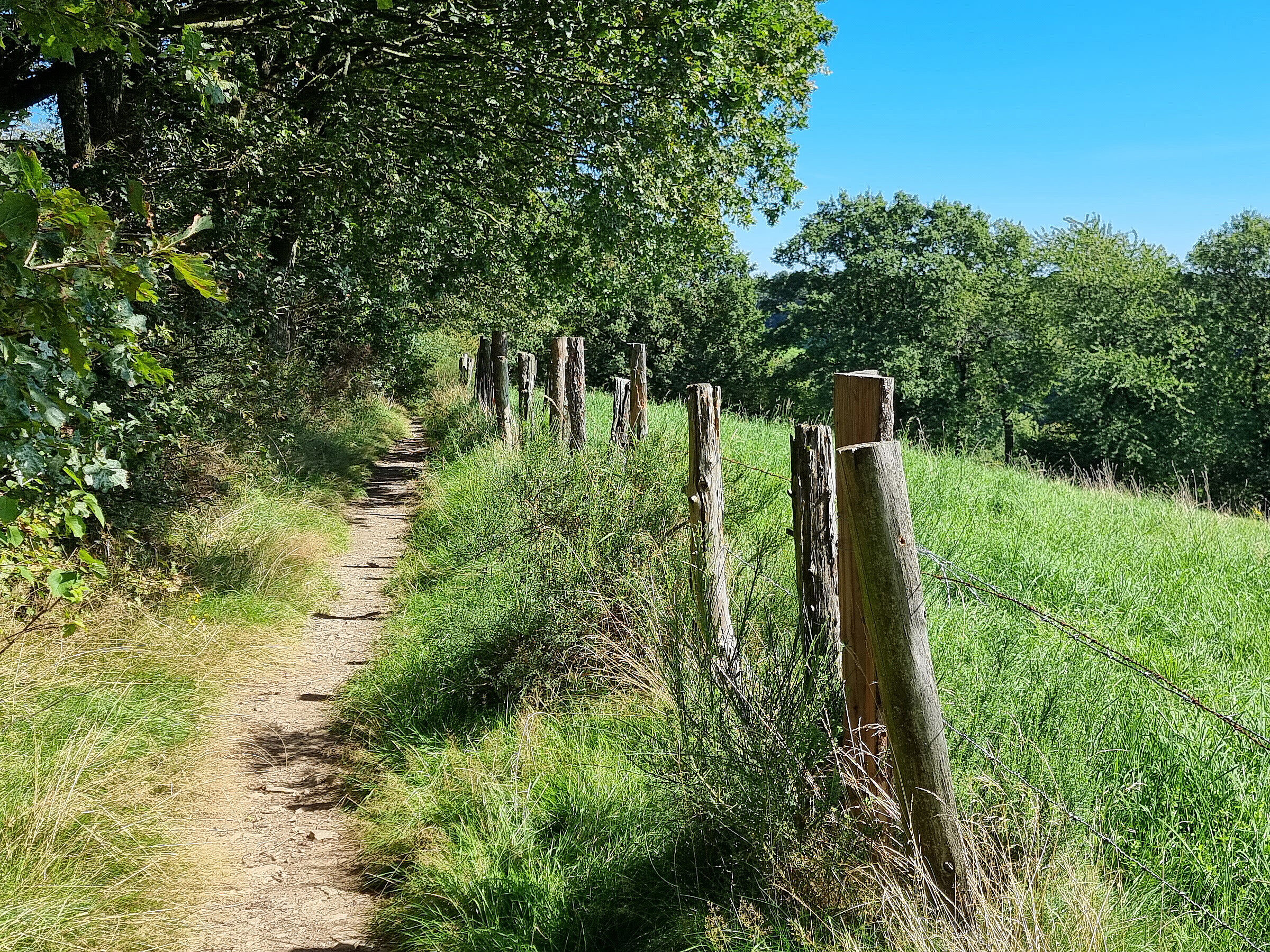 EU-geförderter Wanderweg in der Stadt Sprockhövel